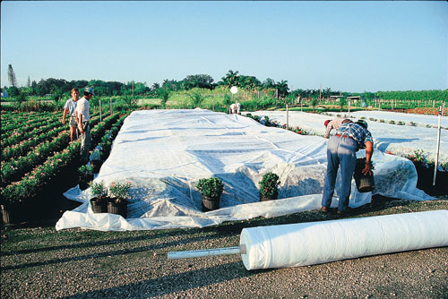 17 gram non-woven material Microtunnel